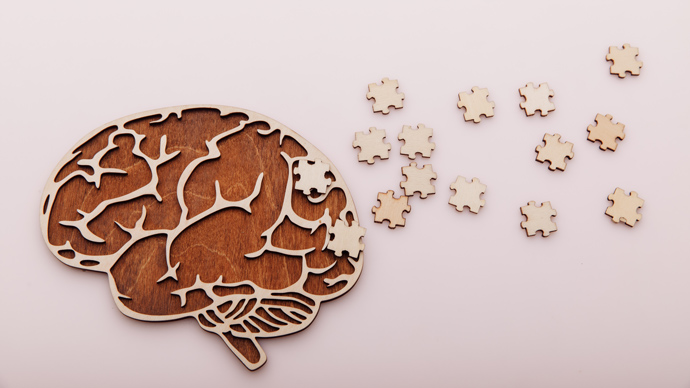 wooden brain shaped puzzle and pieces